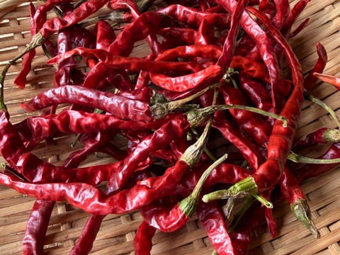 愛知県 豊田市旭産 赤唐辛子 日光唐辛子（乾燥） 40g