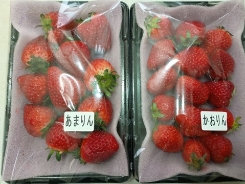 【あまりん・かおりん】食べ比べ２パック(500g)🍓