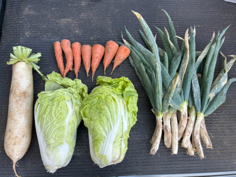 鍋に最適！　固定種の野菜セット12月 (師走)