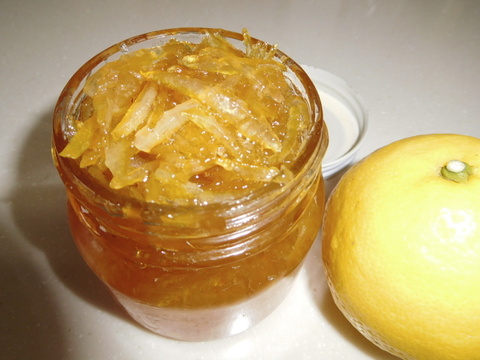 🍊伊豆ﾆｭｰｻﾏｰｵﾚﾝｼﾞほか「初夏の味覚/お楽しみ柑橘５種セット」　ご家庭で・ご贈答に/正味4.5㎏