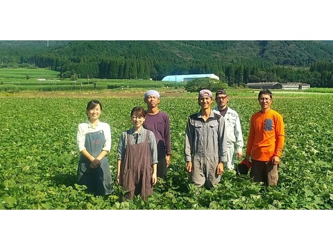 かごしまのさつまいもはそのやま農園　“さつま紅はるか”　食べやすくて人気のミニミニSサイズ  今シーズンも元気においしく　掘りたてが超絶おいしい！【お試し2ｋｇ】　有機ＪＡＳ　箱を含まない2ｋｇ入り