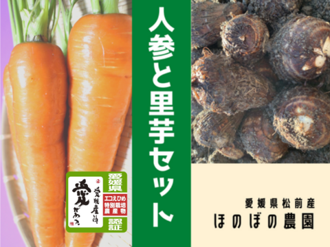 【エコえひめ認証】穫れたて直送❗ほのぼのキャロット(人参)1.5㎏＆純白の里芋(さといも)1.5㎏