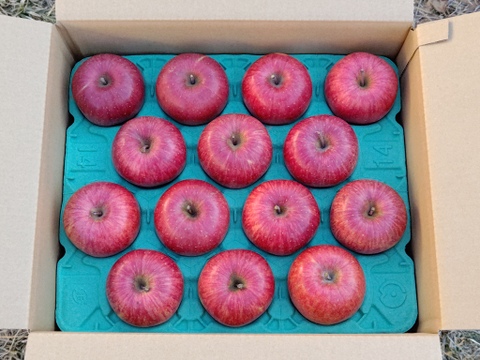 信州産葉とらずサンふじプレミアム5kg11〜18個入り　信州古畠りんご園直送　ご贈答用にもおすすめ