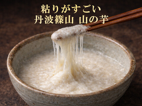 【R8年産 先行予約開始】丹波篠山産 山の芋 3kg 粘りが違う本場の味 とろろ最高級 山芋 家庭用 サイズお任せ 農家直送 家庭用 きりいも  大和芋 つくね芋 山芋 栄養満点 とろろ芋