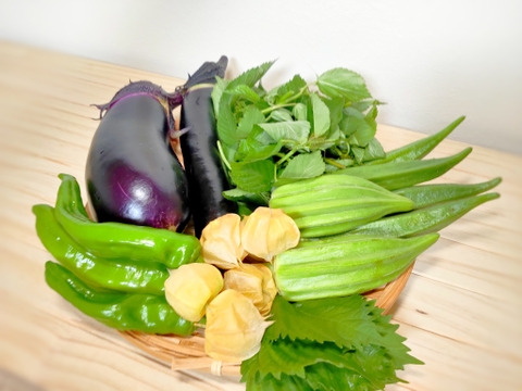 味が濃い！固定種☆旬の自然栽培のちょこちょこお任せ野菜セット(*^^*)