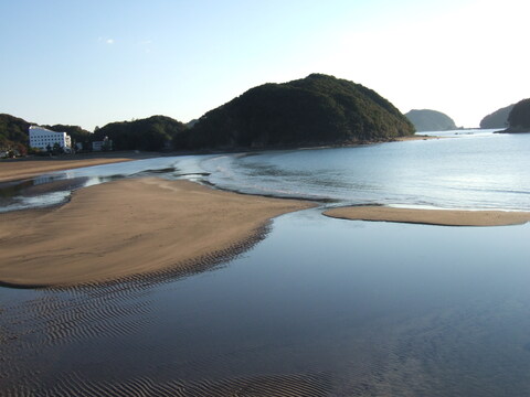 土佐文旦（ご家庭用）　4.5kg   化学系農薬不使用の安心を