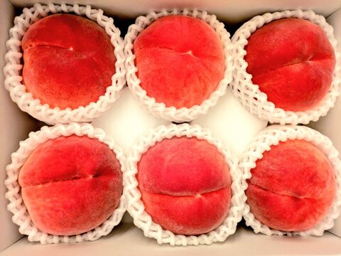 追々加販売☆本日最終桃『浅間白桃』☆2kg化粧箱