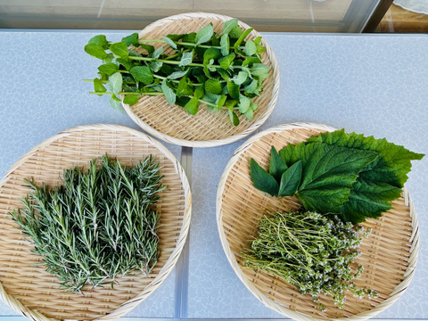 自家畑ハーブ入り「紅三太 サラダ大根のピクルス」