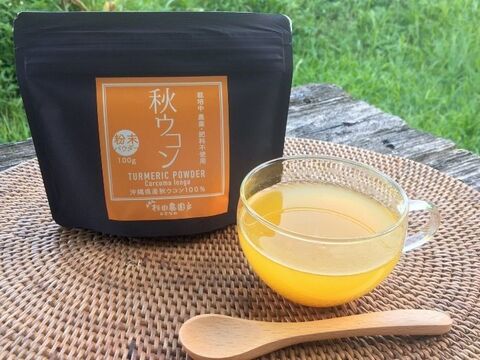 スパイスにも 健康茶にも 自然栽培 秋ウコンパウダー ターメリック 沖縄県産 100g 沖縄県産 食べチョク 農家 漁師の産直ネット通販 旬の食材を生産者直送