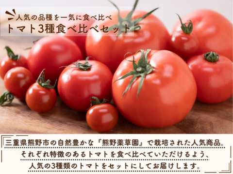 【まもなく終了】【4/14まで】三重県産 真っ赤な完熟トマト3種食べ比べセット(約1.8㎏)