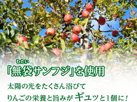 噛むほどに美味い！青森県産ドライフルーツりんご「木の実　実のまま」50ｇ×2袋