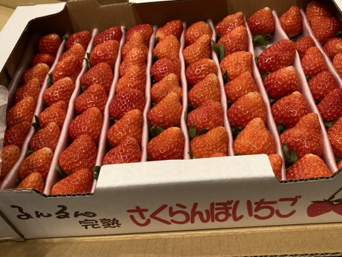 小粒ころころ不揃いイチゴ♪（加工向き）