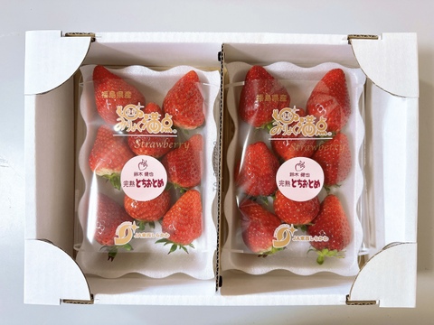 🍓✨️テレビで紹介された！完熟とちおとめ　4パック