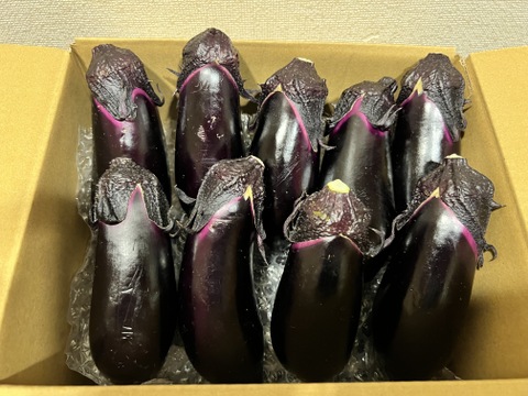 つやつや真っ黒！群馬の露路ナス（M〜Lサイズ、常温60サイズです。）