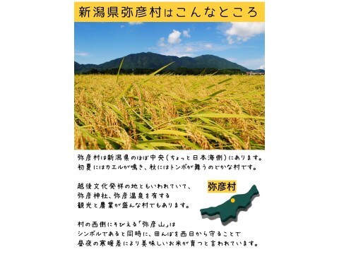 熟成玄米ご飯手作りセット×３袋・熟成３日発芽玄米パックご飯×９個（3個入りパック×3セット）