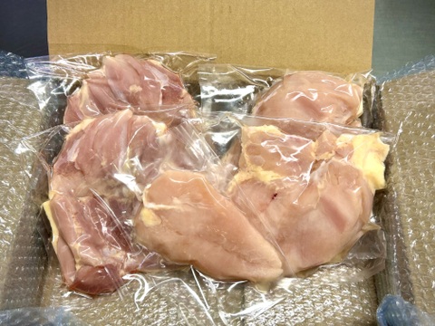 【ゲン担ぎ福袋】🧧【真】チキン勝と親子丼福袋