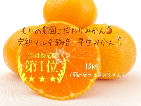 【百貨店で1400箱売れるドルチェみかん🥇】”完熟マルチ栽培”早生みかん10kg