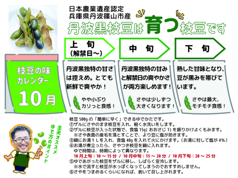 【新鮮！】丹波篠山産黒枝豆１kg 250g×4P 10/10順次発送