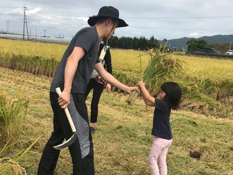 【数量限定】農薬・化学肥料不使用【森のくまさん】　白米（5kg）令和4年産