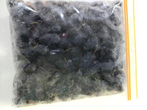 【天然健康果実】冷凍マルベリー　桑の実　700g