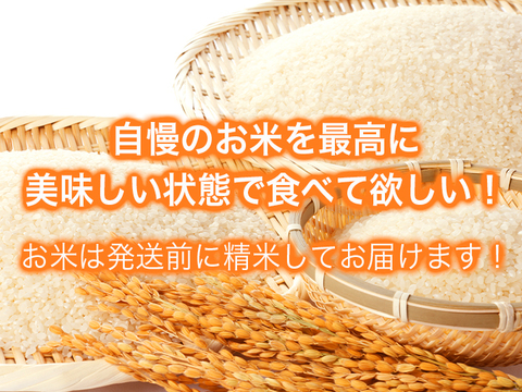 【幻のお米！】いのちの壱　特別栽培米　750g×５袋