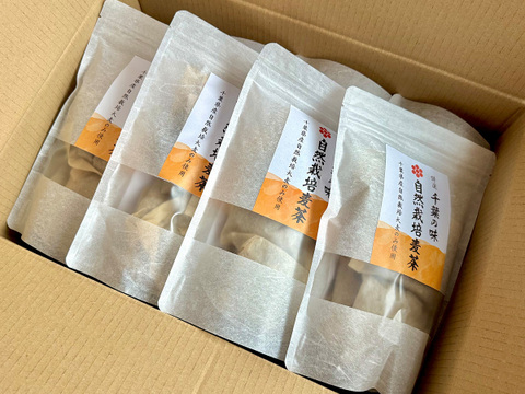 【お得なまとめ買い】千葉県産自然栽培麦茶 24袋セット