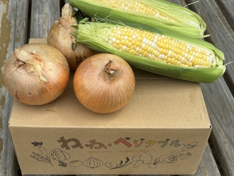 淡路島産トウモロコシと完熟玉ねぎキラ玉のセット！
