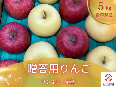 今が旬の青森りんご贈答用詰め合わせ！お歳暮・冬ギフトにも最適！約5kg  熨斗対応可能！真っ赤なサンふじと縁起物の美しい黄色の金星です！