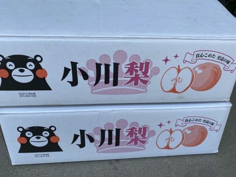 秋麗梨　豊水梨　食べ比べセット 5k箱 13〜14玉