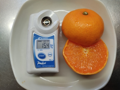 柑橘２種食べ比べ　せとか・はるか　家庭用　箱込み8.7キロ
