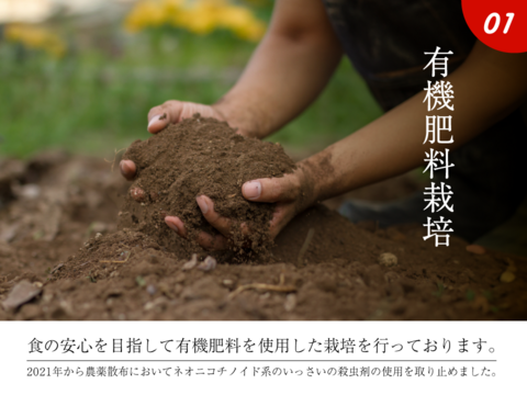 【正直人気はないですが旨いです！ 】シナノゴールド5キロ箱 訳あり品 ID21594 長野県 信州 安曇野 リンゴ 幻 幻のリンゴ 予約 希少 旬