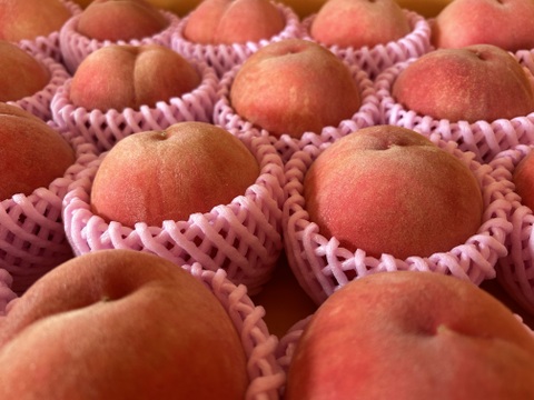 桃の王様！山形県産川中島白桃【丸かじりサイズ2キロ】