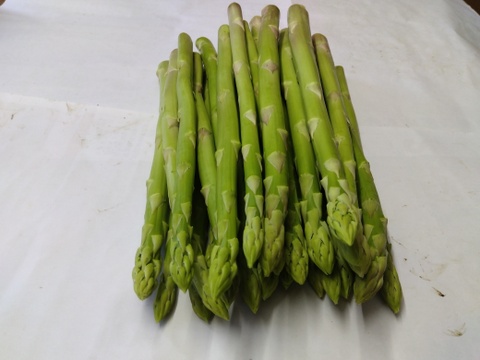 シャキシャキ！さぬきのめざめ秀品太めのL~2L夏芽１㎏