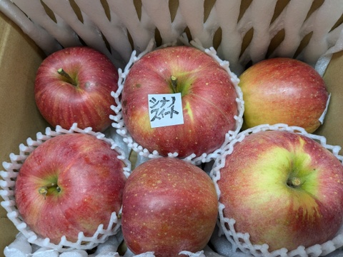 信州りんご🍎おためしサイズ約1.8キロ(5～9個)