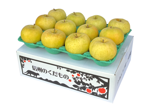 残り8ケース【フルティーサマーアップル】トキ 3キロ箱 6玉〜15玉サイズ商品ID09523 長野県 信州 安曇野 リンゴ 幻 幻のリンゴ 予約 希少 旬