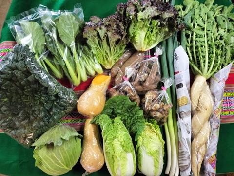 お楽しみ★農園自慢の情熱野菜セット　18袋　発送タイミングおまかせ　フードロス対策　パチャママ農園