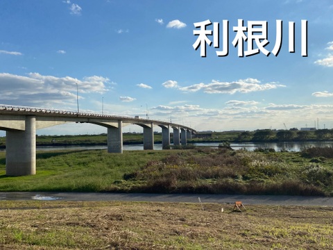 水輪のまちのお米【令和7年新米】ミルキークイーン玄米30kgキロ（精米