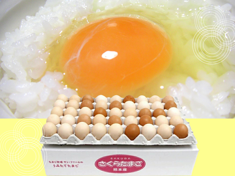 無病息災＆金運UP！！大寒たまごＭさくら45個【常温便】