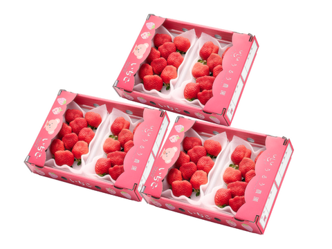 いちごう 予約販売 2026年11月下旬～順次発送】🍓あまおう苺 サイズ色々