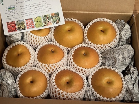 樹上完熟和梨「あきづき」5kg【直送便】