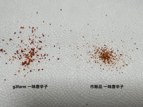 【ほとばしる汗】希少！　熊本県産　農薬不使用　一味唐辛子　１８g