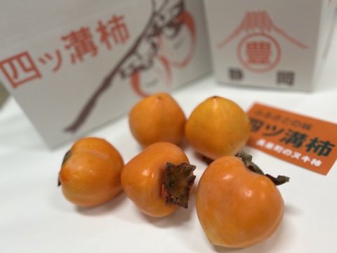 《希少》四ッ溝柿 （抜き柿 16〜20個）