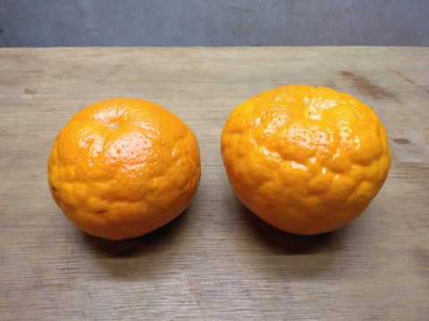 静岡県産　はるみ　家庭用　約3.5㎏