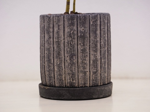 ミニ盆栽【紅葉🍁ヤマモミジ×黒陶器】高さ37cm×横x10cm【朝市限定】