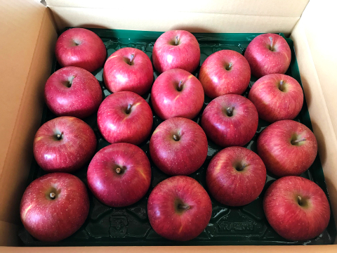 福島の美味しい林檎　サンふじ5ｋｇ（14～22玉）　ギフト・贈答用りんご