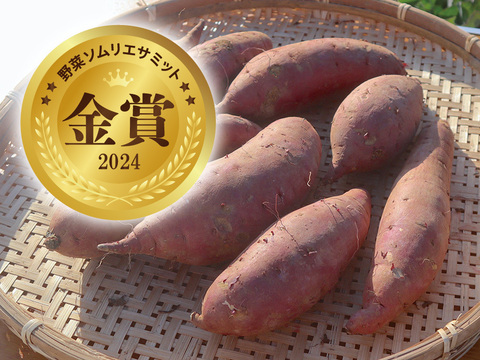 冬野菜Lセット9品目前後（農薬・化学肥料不使用）