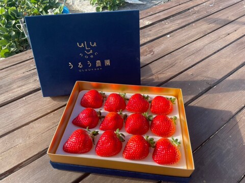 極上あまおう400ｇ　～ベロアギフトボックス～【冬ギフト】