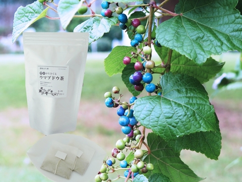 酵素が生きてる!ウマブドウ茶(紐付きティーバッグ入り2gx18包x1袋)
独自の特殊加工を是非!野ぶどう茶