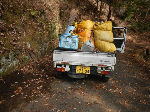 冷凍ブルーベリー Mサイズ（３ｋｇ）