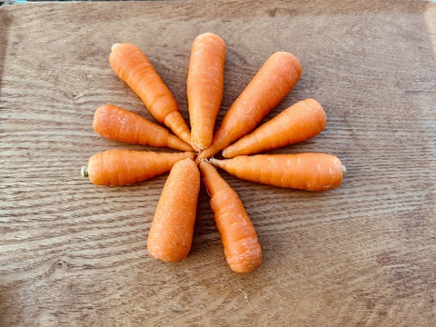 訳あり　北総台地　寒暖差10度以上【農薬・化学肥料不使用】人参ジュースにもおすすめ！10kg